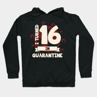 I TURNED 16 IN QUARANTINE Hoodie